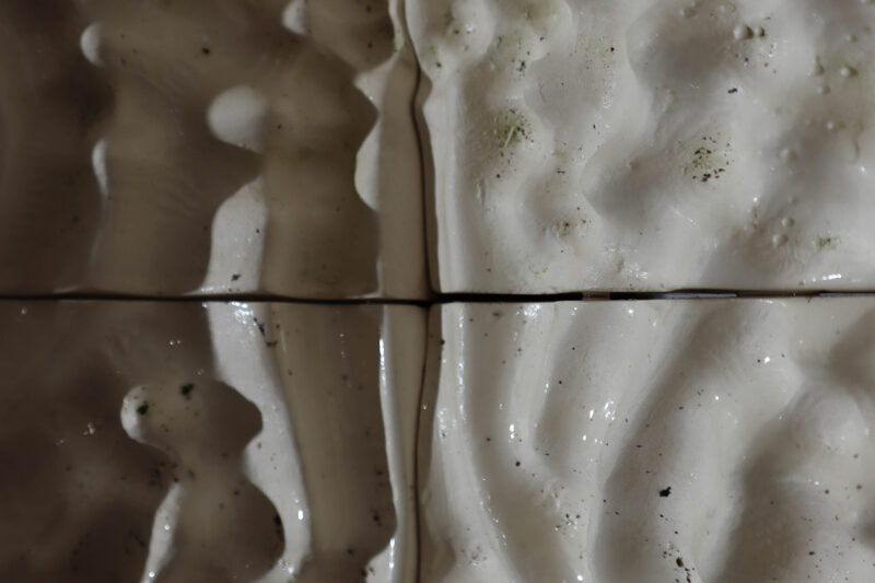 Biogenic Architecture