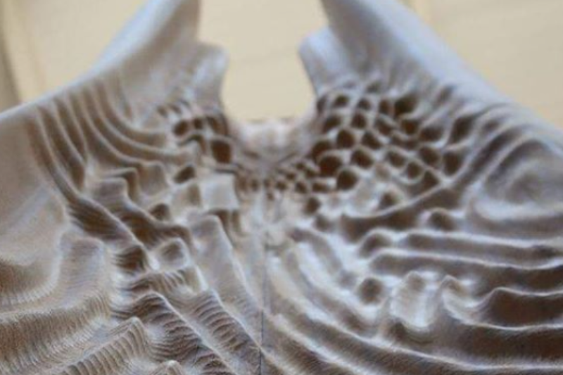 Exhibition on view 9-13.09.2020. | Biogenic Architecture by Nina Jotanović